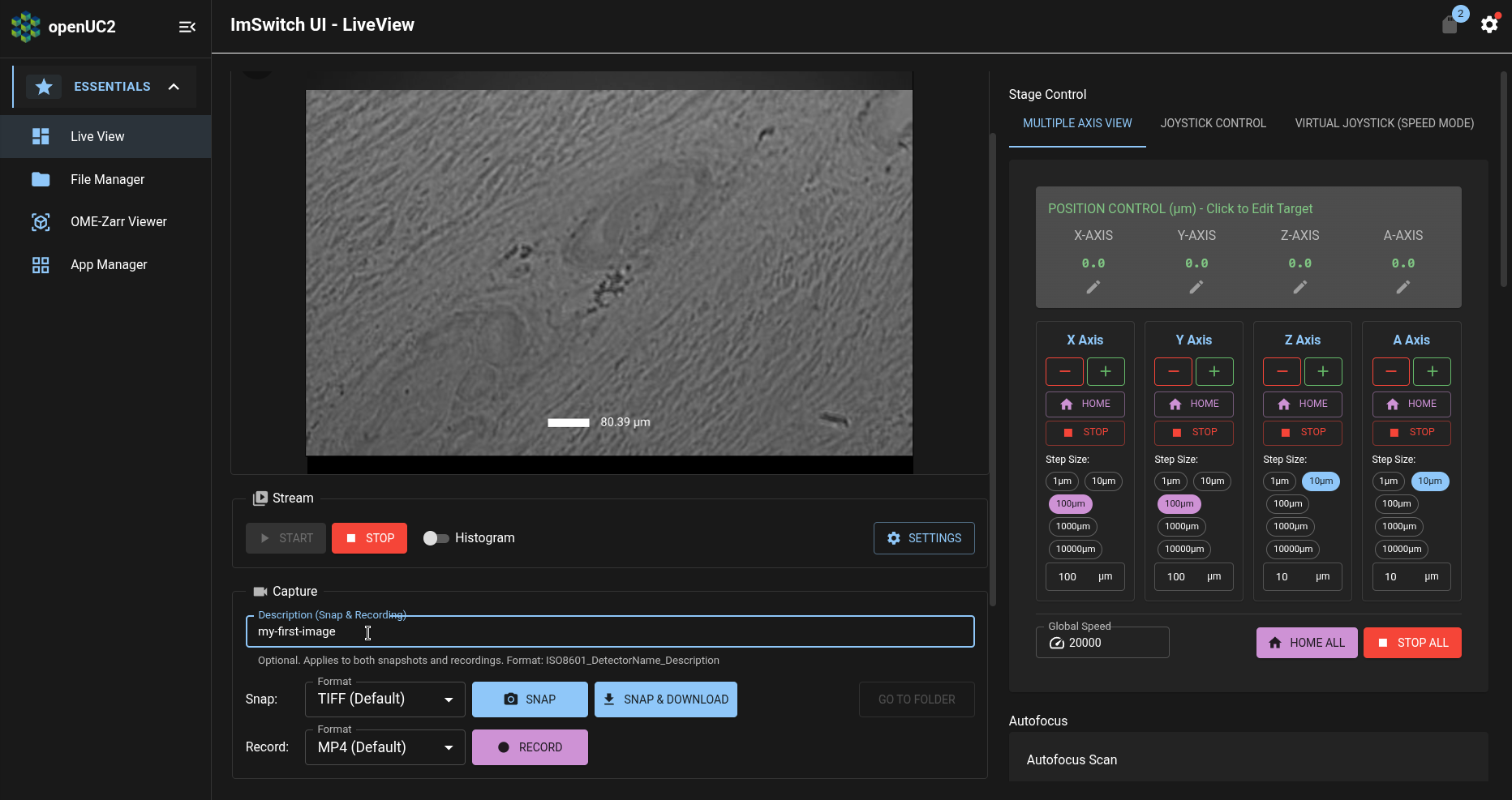 ImSwitch app: Live View page: Capture panel: Description